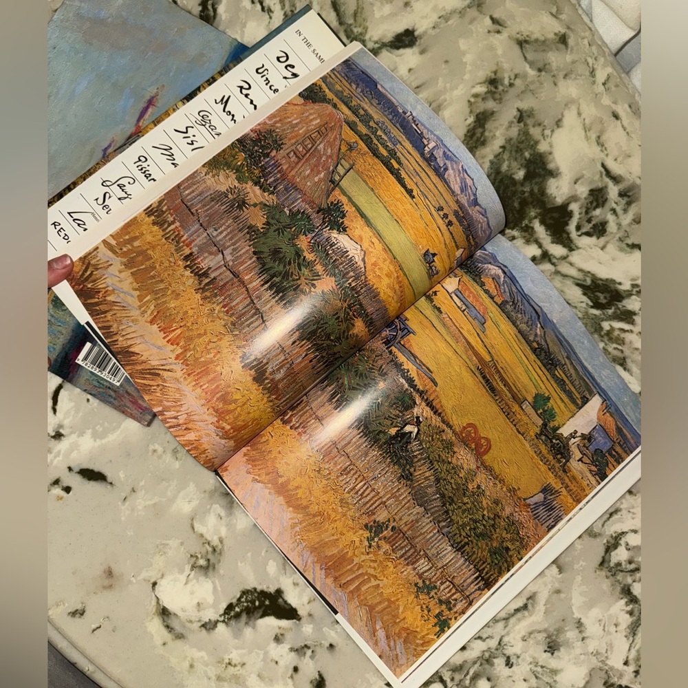 Vincent Van Gogh coffee table book (Phidal Art Series) - printed in Italy 1990 - Picture 7 of 16